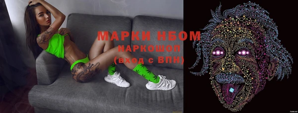 эйфоретик Баксан