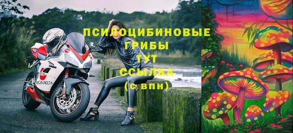 эйфоретик Баксан