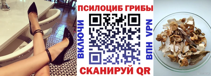 Галлюциногенные грибы Cubensis  Купить где  Елизово 